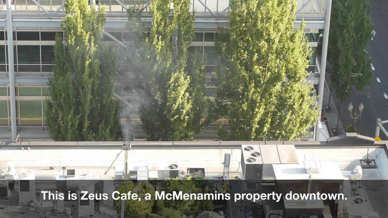 Zeus Cafe, my own Bullseye