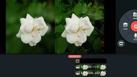 how to make split screen of two videos using kinemaster malayalam