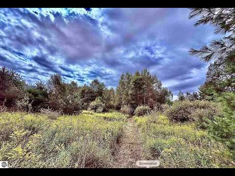 6888 Bancroft Road, Kingsley, MI home video tour
