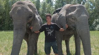 20YearOld Acrobat Performs Tricks With His Elephant Family | BEAST BUDDIES