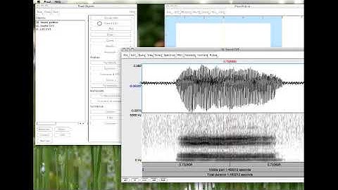 PRAAT 7  LPC spectra
