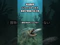 シファクティヌスが1.8m魚を丸呑み!暴食の末路がヤバい