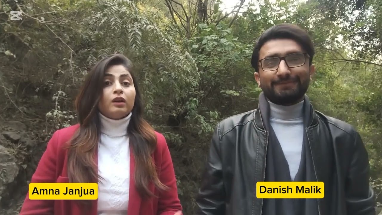 Imran Khan's Next Step: PTI's Future Plans