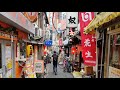 Walking in Tokyo - Sangenjaya to Ikejiri-Ohashi, via Setagaya Park - 4K 60 FPS - Slow TV