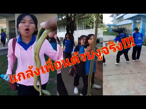 แกล้งเพื่อนด้วยงูจริงๆ