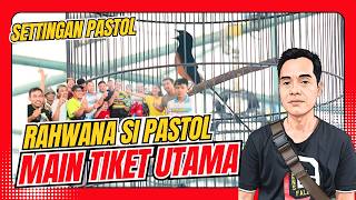 mb Rahwana Murai Batu Pastol Rahwana Juara Murai Pastol Rawatan Murai Pastol Murai Batu Hobi Id