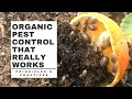 Organic pest control that really works