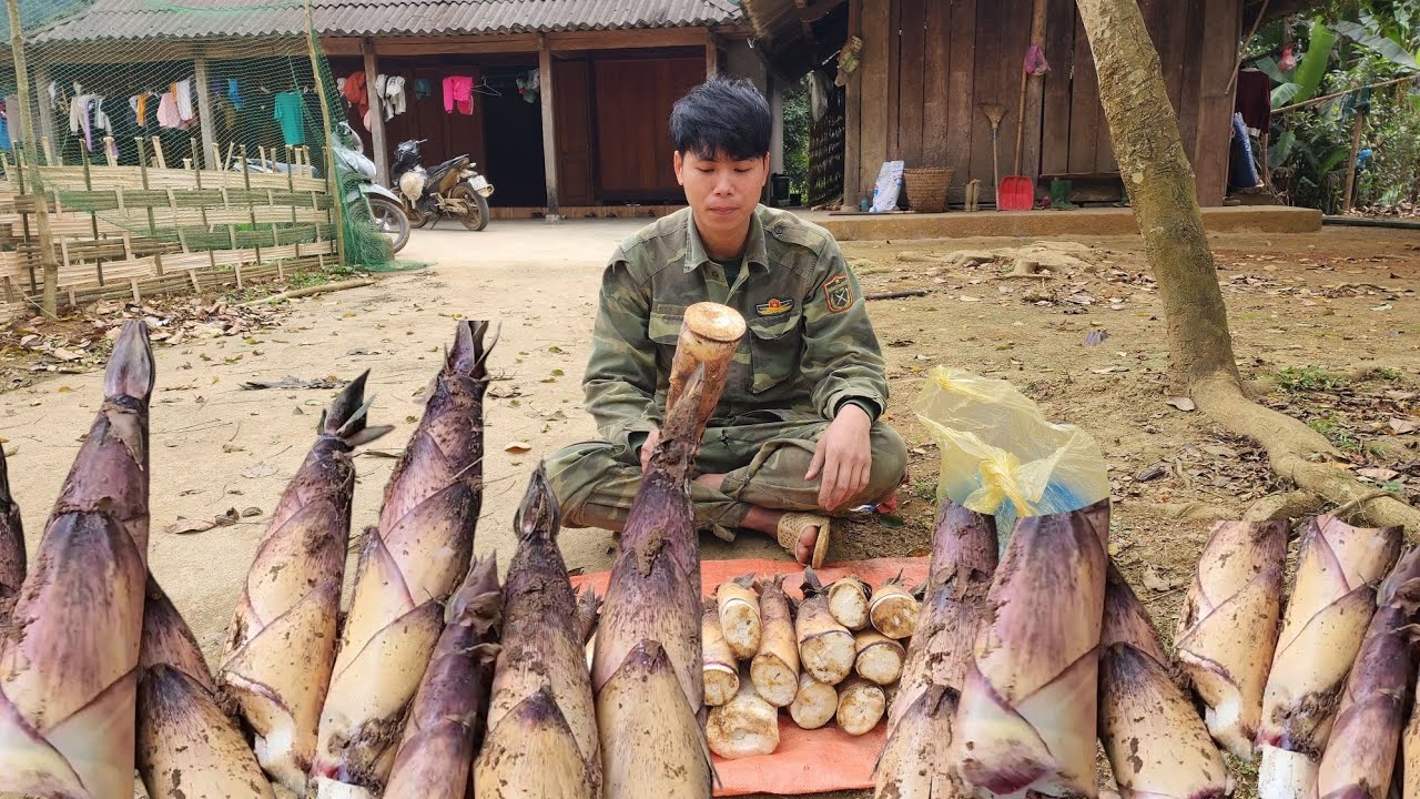 Today, let's go find bamboo shoots in the forest to sell. - YouTube