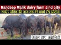 Randeep Malik की आज तक की सबसे टॉप झोटीयां || 15 झोटी बिक्री के लिए उपलब्ध,Randeep Malik dairy farm