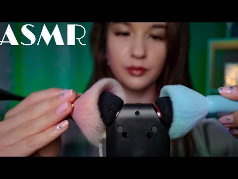 ASMR Ear massage👂🏻Brushes САМЫЙ МУРАШЕЧНЫЙ Массаж Ушей🎧 Tascam