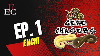 Gene Chasers Series: Episode 1 Enchi