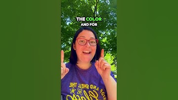 Stop Confusing These Look-alike ASL Signs! (Quick Fix)