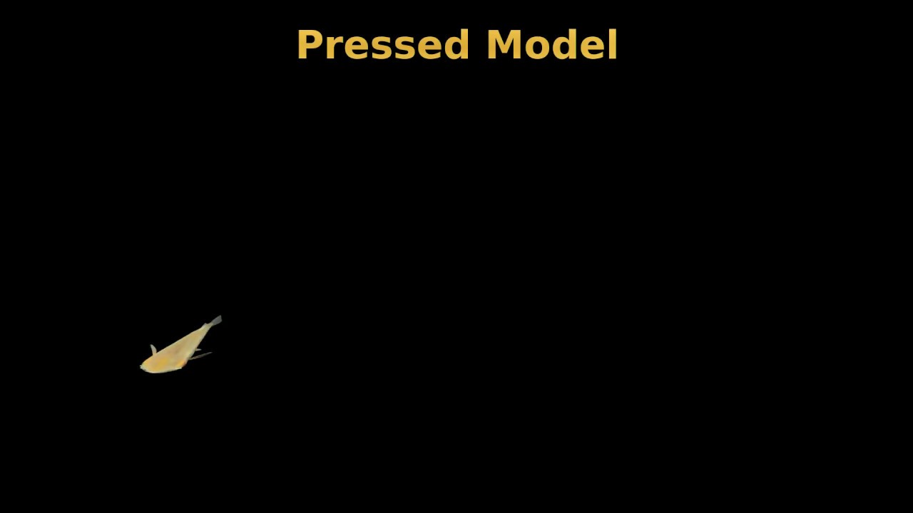 Virtual Medaka Fish of 3D Computer Graphics Animation