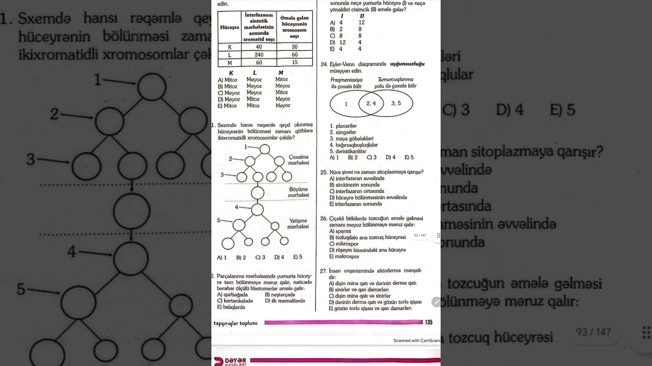 Dəyər ontogenez testləri bütün sualların izahı.