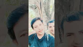 dosti mein dimag mat lagao