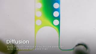 3D Printing a Channel Interaction Chip in 1 Day | #Microfluidics #cadworks3d Net Worth