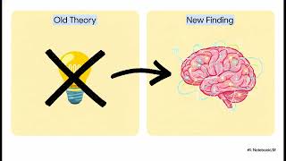 Polymath Analysis Ep - Spirit Gifts And The Brain