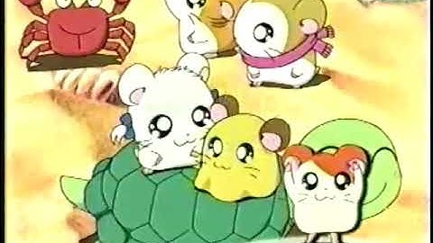 Hamtaro (Cartoon Network Credits)