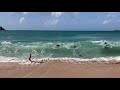 Seal and surf at Mother Ivey’s Bay Cornwall