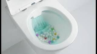 Why Do Customers Choose the 2490 Rimless Wall Hung Toilet?