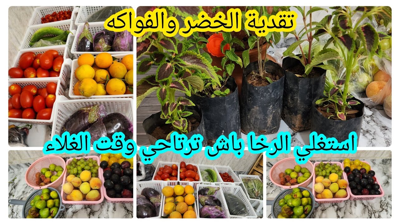 تقدية الخضر والفواكه 🍅🍐استغليت الرخا وتهنيت 💵ومنها نوفر فلوسي💵