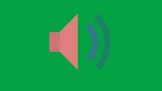 Speaker Green Screen