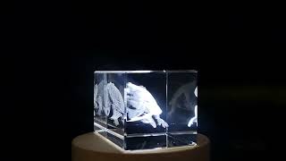 Pond Slider Turtle Engraved Crystal Paperweight - Common Yet Captivating Freshwater FSAN - 175