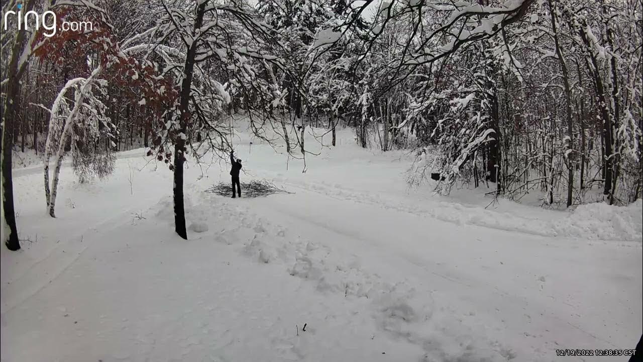 EGO Polesaw with extension used for the first time YouTube