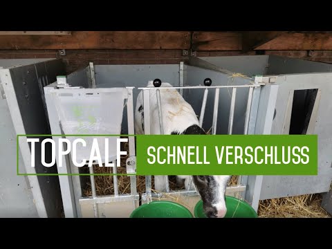 Topcalf Kälberbox -