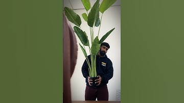 Sudo is a superpower | Coding Humour | Sudo Command Linux #shorts