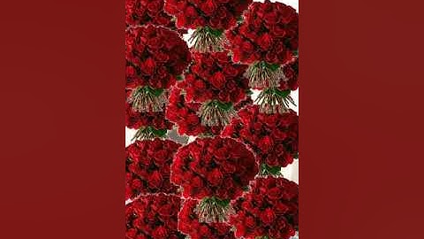 شیخ عبیداللہ#سورة یس#تراویح        جامع القادسیه ریاض سعودی عرب     21 رمضان 1444ہجری 11 اپریل 2023م