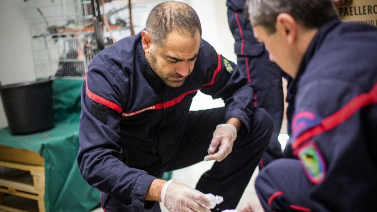 Immersion : CIS Auriol