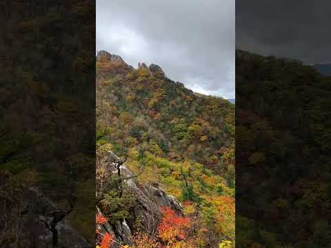 Video: Seoraksanin kansallispuisto: täydellinen opas