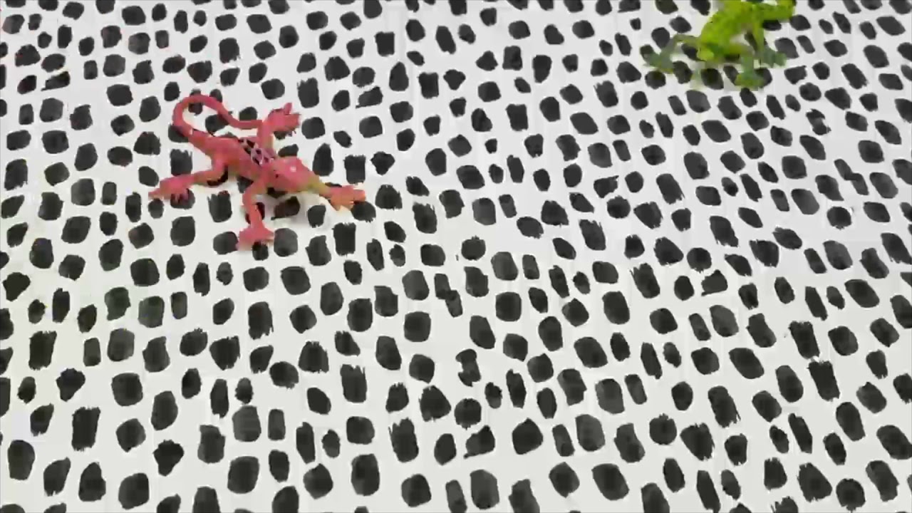 STOP MOTION | Finding Love : A Lizards Quest for Happiness | Short Film | Mixed Media