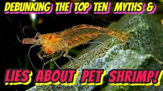 SHRIMP KEEPING THE TOP 10 LIES, MYTHS OR HALFTRUTHS DEBUNKED! From Cherry Shrimp to Exotic Species