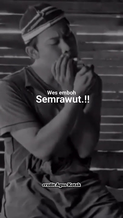 Semrawut Bolo      #storywa #trending #fypシ゚viral #jawapride #story #storyjowo12