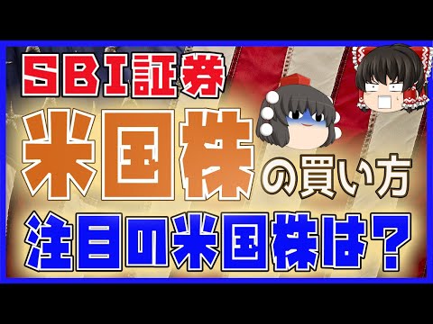 【SBI証券】米国株の買い方【注目のアメリカ株は？】