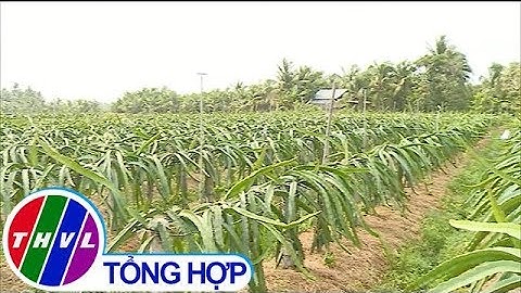 THVL | Vĩnh Long nâng chất lượng xã nông thôn mới