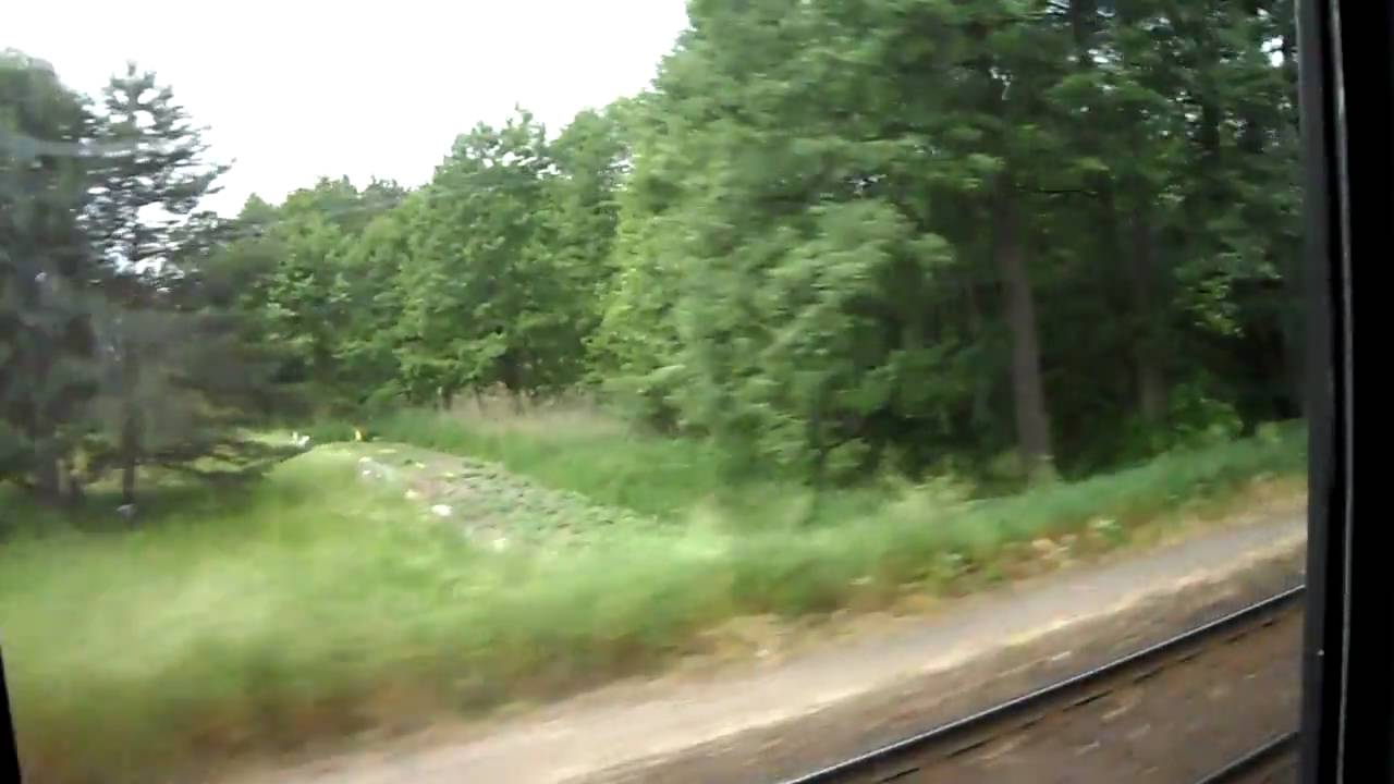 (HD) Pociąg ''Flota Wielkopolski'' na szlaku między stacją Miały a Drawski Młyn, D29-351