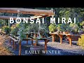 Visiting Bonsai Mirai in Oregon