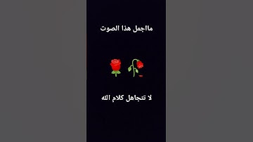 #سورة_العنكبوت_عبدالرحمن_مسعد #quran #اكسبلور #قران #لايك #راحة_نفسية #تيك_توك #متابعه