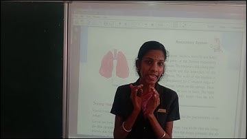 Class 7 Science Chapter 8 - Breath and Blood of Life (Part 1)