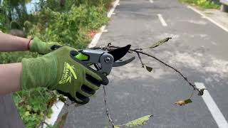 Bell-009-PRN Premium Bypass Pruner | Aluminum Handle | 20mm Cutting Capacity | OEM Garden Tool screenshot 5
