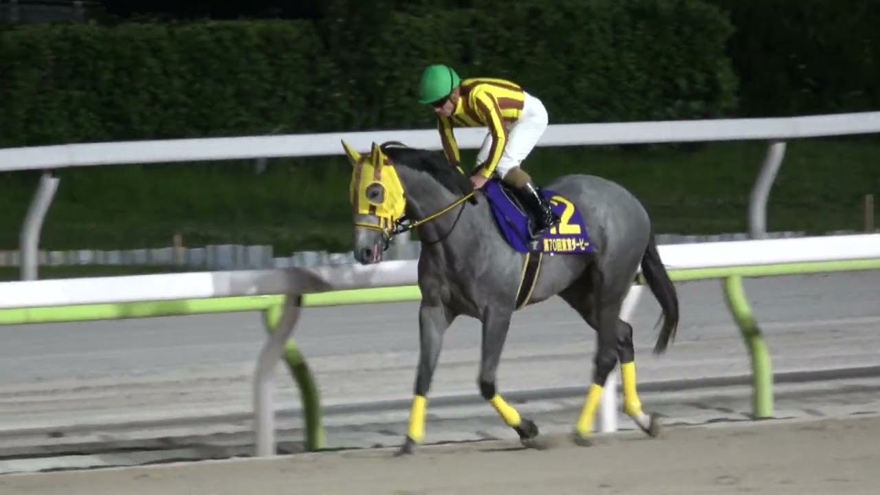 東京ダービー2024】本馬場入場 現地映像 ラムジェット - YouTube