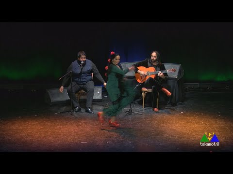 Dia de Andalucía en Motril 28 febrero 2023