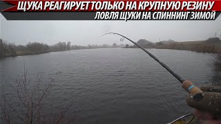 ЩУКА РЕАГИРУЕТ ТОЛЬКО НА КРУПНЫЙ СИЛИКОН!!! Ловля щуки зимой на спиннинг