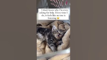 For any support, please click the link in our bio to helpEvery pledge you make is deeply appreciated