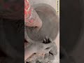 #oddlysatisfying #colors #asmr #shorts #viralvideo