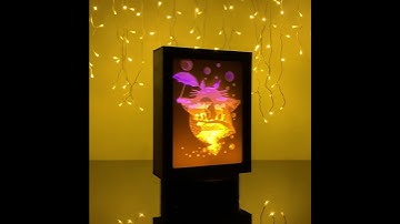 Best Shadow box 2020!