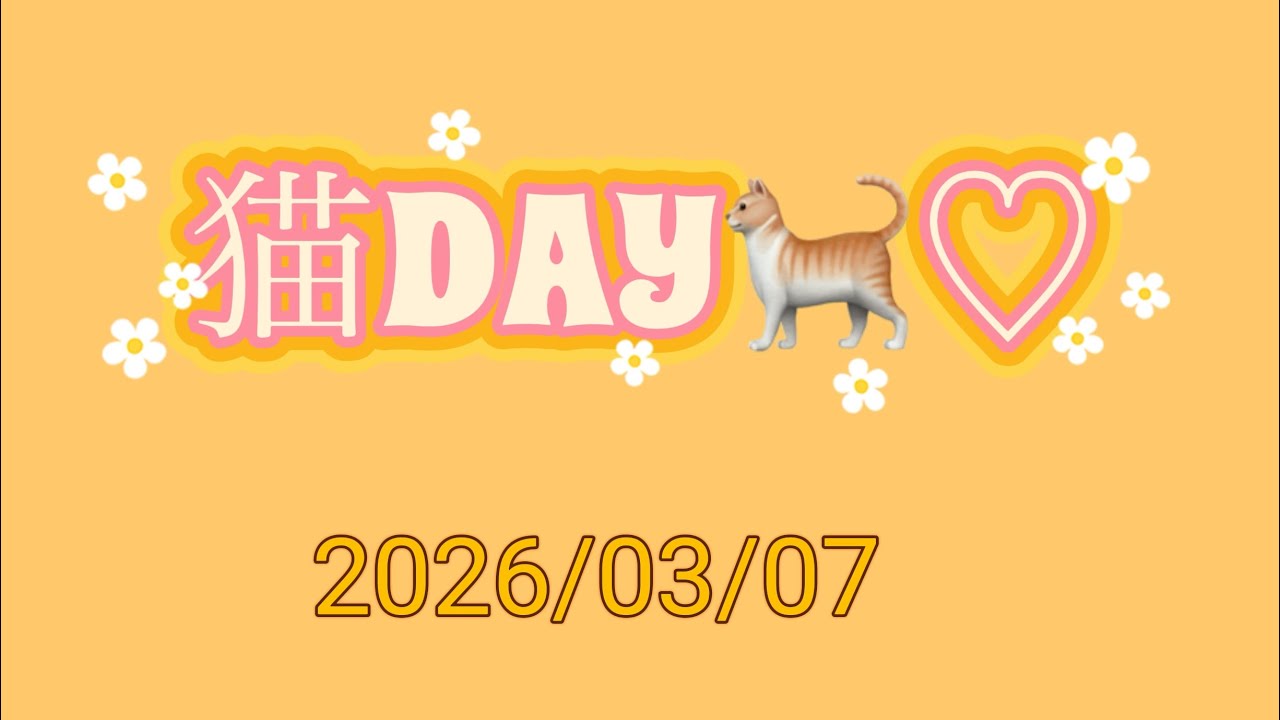 【vol.183】猫DAY🐈♡#猫 #動物 #可愛い #癒し #고양이#māo#gatto #Katze#アサイー #セブン購入品 #新作 #引越し